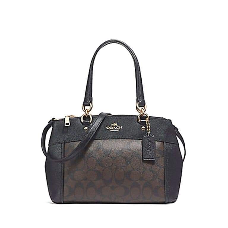 Mini brooke 2025 carryall coach